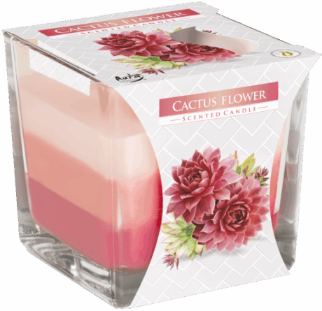 bG9jYWw6Ly9tZWRpYS8xUC80RS82MFIzMEMxRzZSUzM0RTFQLzgxNWRmOTJkLnBuZw