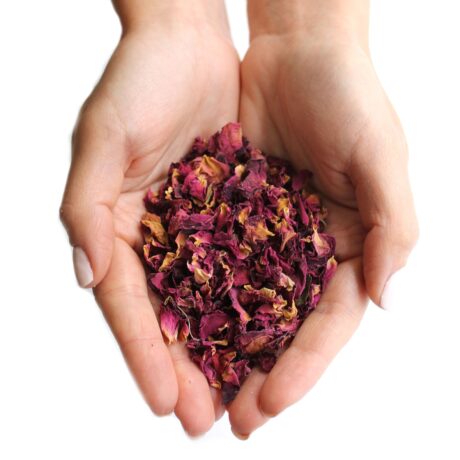 bG9jYWw6Ly9tZWRpYS85UC8wRS82MFIzMEMxRzY0VzMwRTlQLzg4ZWIwNDgyLmpwZWc