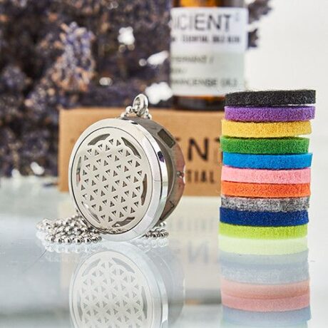 bG9jYWw6Ly9tZWRpYS8xRy84RS82MFIzMEMxRzZNVEs4RTFHL2VmNGUxZjVjLmpwZWc