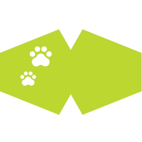 bG9jYWw6Ly9tZWRpYS9TSi80RC82MFIzMEMxRzZSUjM0RFNKL2U0OWMwZDNiLmpwZWc