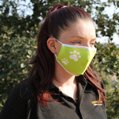 bG9jYWw6Ly9tZWRpYS9TTS80RC82MFIzMEMxRzZSUjM0RFNNLzMxY2I2NGIzLmpwZWc