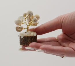 Small Gomati Chakra Circle Stone Trees-(15 stones)