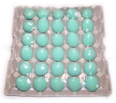 bG9jYWw6Ly9tZWRpYS85Ry9DRC82MFIzMEMxRzY4VDNDRDlHLzlkZWY5YWMzLmpwZWc