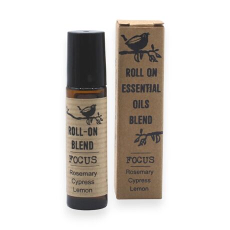 bG9jYWw6Ly9tZWRpYS85SC8wRS82MFIzMEMxSjY0VEswRTlILzQ5MGU1YjIzLmpwZw