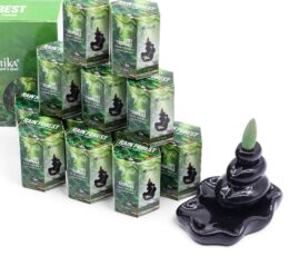 Masala Backflow Incense pack of 10 - Rain Forest