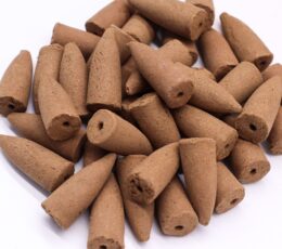 Masala Backflow Incense pack of 10 - Sage