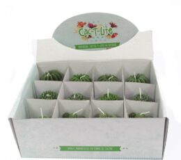 Cactus Candles - Animal Pot (asst) Display