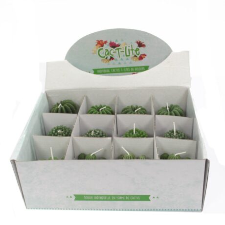 bG9jYWw6Ly9tZWRpYS85UC84RC82MFIzMEMxRzZHVzM4RDlQLzc0ZWI5YTM4LmpwZWc