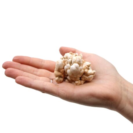 bG9jYWw6Ly9tZWRpYS85US9FQy82MFIzMEMxRzZNU0tFQzlRLzJiMzViZTEzLmpwZWc