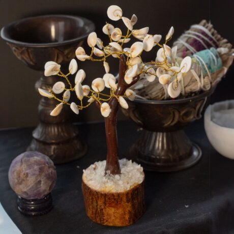 bG9jYWw6Ly9tZWRpYS85Ui8yRS82MFIzMEMxRzZXVDMyRTlSLzNmMzQxODRkLmpwZWc