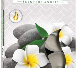 Set of 6 Scented Tealights - Relaxation