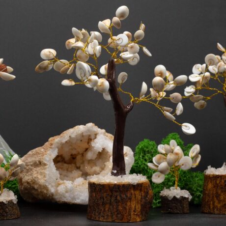 bG9jYWw6Ly9tZWRpYS85Uy8yRS82MFIzMEMxRzZXVDMyRTlTLzBjYWVhNjgxLmpwZWc