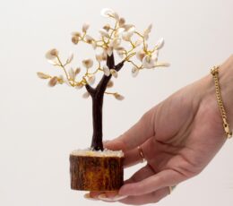 Lrg Gomati Chakra Circle Stone Trees - (60 stones)