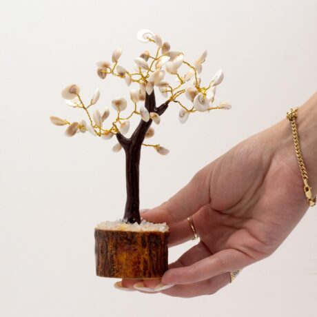 bG9jYWw6Ly9tZWRpYS8xRy80Qy82MFIzMEMxRzZXVDM0QzFHL2FiMGJlZDhmLmpwZWc