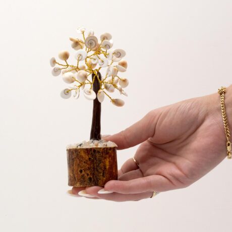 bG9jYWw6Ly9tZWRpYS8xSi80Qy82MFIzMEMxRzZXVDM0QzFKLzJkOTRiOTUwLmpwZWc