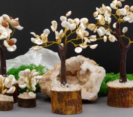 Med Gomati Chakra Circle Stone Trees - (45 stones)