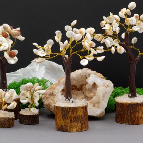 bG9jYWw6Ly9tZWRpYS8xSy80Qy82MFIzMEMxRzZXVDM0QzFLL2FiMWUwYWY0LmpwZWc