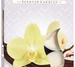 Set of 6 Scented Tealights - Vanilla