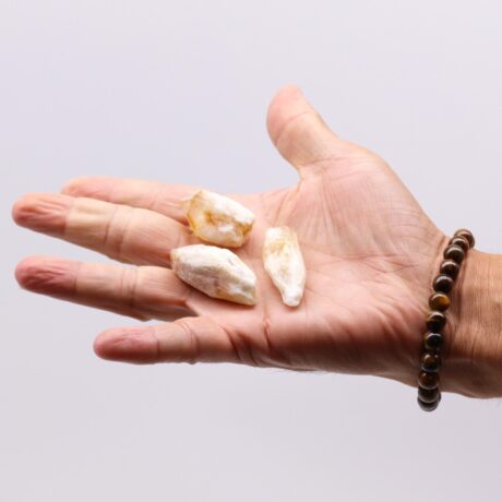 bG9jYWw6Ly9tZWRpYS8xTS80RS82MFIzMEMxRzZXUjM0RTFNLzYyNzk4NTY3LmpwZWc