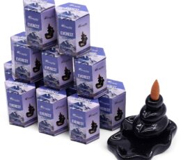 Masala Backflow Incense pack of 10 - Everest
