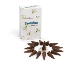 Jasmine Incesne Cones