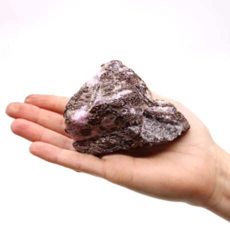 bG9jYWw6Ly9tZWRpYS8xUC80Qy82MFIzMEMxRzZSVjM0QzFQL2I5NGY3MGViLmpwZWc