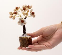 Med Gomati Chakra Circle Stone Trees with Rudraksha - (45 stones)