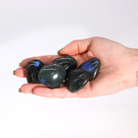 bG9jYWw6Ly9tZWRpYS8xUC82RS82MFIzMEMxRzZXU0s2RTFQLzRkZDdkOTk0LmpwZWc