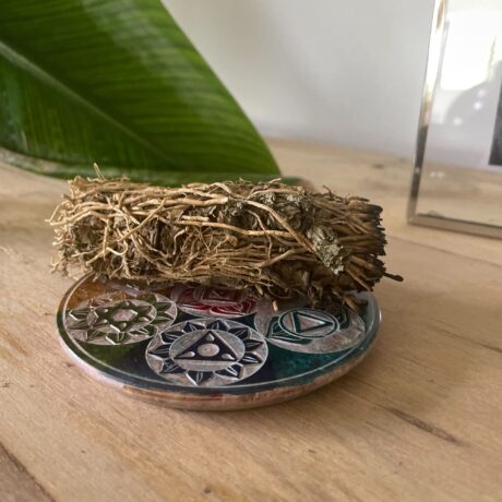 bG9jYWw6Ly9tZWRpYS8xUC9KRS82MFIzMEMxSDc0VEtKRTFQLzI2Y2NhZDM4LmpwZWc