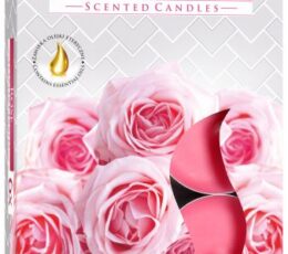 Set of 6 Scented Tealights - Rose