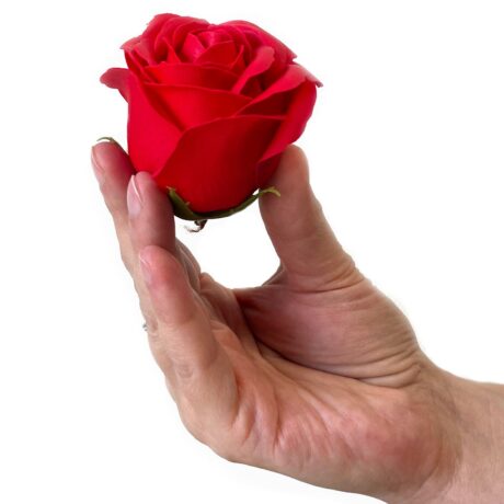 bG9jYWw6Ly9tZWRpYS8xUS9BQy82MFIzMEMxRzZSVDNBQzFRLzIyMTgwYjVlLmpwZWc