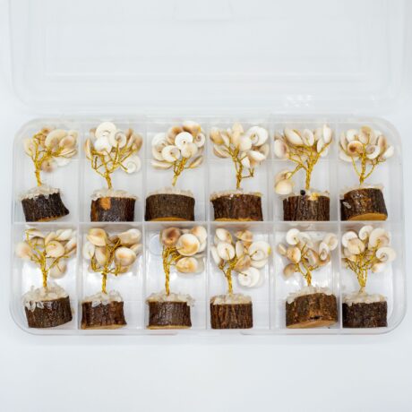 bG9jYWw6Ly9tZWRpYS8xUi80Qy82MFIzMEMxRzZXVDM0QzFSLzA3ZTk3NDBkLmpwZWc