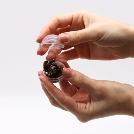 bG9jYWw6Ly9tZWRpYS8xUy9KRS82MFIzMEMxRzZSVktKRTFTLzUxMDdjYTg5LmpwZWc