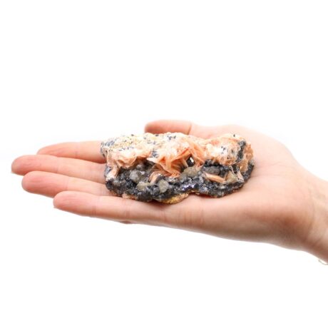 bG9jYWw6Ly9tZWRpYS9IRy80RC82MFIzMEMxRzZSVjM0REhHLzFhMTlkZTViLmpwZWc