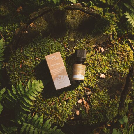 bG9jYWw6Ly9tZWRpYS9ISC9BRC82MFIzMEMxSjY0VEtBREhIL2I5NWM4NThlLmpwZw