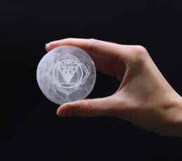Chakra Set of 7 Charging Plates