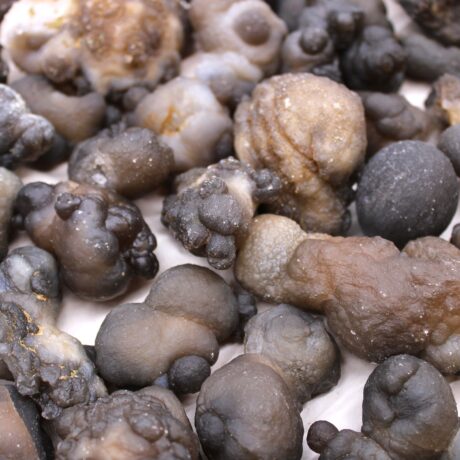 bG9jYWw6Ly9tZWRpYS9ISy80RC82MFIzMEMxRzZSVjM0REhLL2I4N2Y1NWIzLmpwZWc