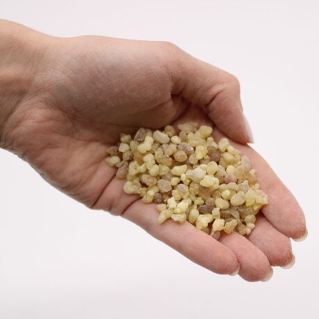 bG9jYWw6Ly9tZWRpYS9ITi9DQy82MFIzMEMxRzZSVjNDQ0hOLzQyYTVmMDBkLmpwZWc