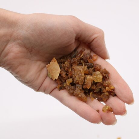 bG9jYWw6Ly9tZWRpYS9IUS9DQy82MFIzMEMxRzZSVjNDQ0hRLzY1YWJjYTExLmpwZWc