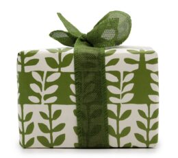 Gift Box - Rhubarb (Candle) + White Fig & Fell Berry (Fizz)