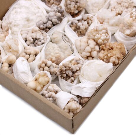 bG9jYWw6Ly9tZWRpYS9TSC8yQy82MFIzMEMxRzZSVjMyQ1NILzU4NjMxNGM5LmpwZWc