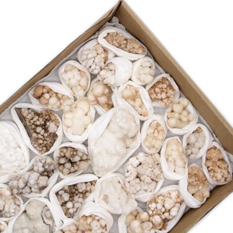 bG9jYWw6Ly9tZWRpYS9TSi8yQy82MFIzMEMxRzZSVjMyQ1NKL2FhOTNkYWY1LmpwZWc