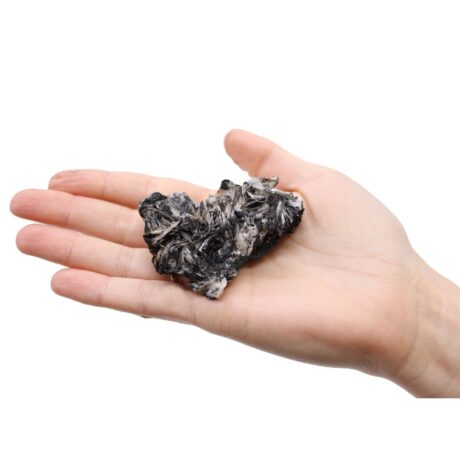 bG9jYWw6Ly9tZWRpYS9TTS8yRC82MFIzMEMxRzZSVjMyRFNNLzllMTE5MTYzLmpwZWc