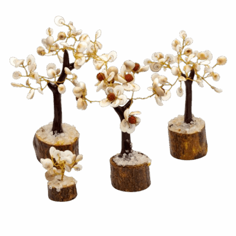 bG9jYWw6Ly9tZWRpYS9TUS8yRC82MFIzMEMxSDY0VEsyRFNRLzI2MjlmYTg5LnBuZw