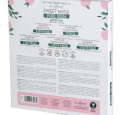 Plant Based Backflow Incense Cones - Sweet Musk