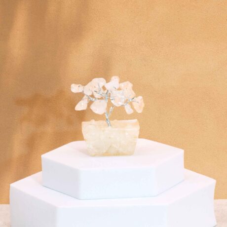 bG9jYWw6Ly9tZWRpYS9TUi9FQy82MFIzMEMxRzZXUjNFQ1NSLzNkMGZmYmVhLmpwZWc