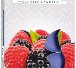 Set of 6 Scented Tealights - Forest Fruits