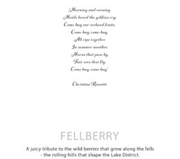 Agnes + Cat Botanical Soy Wax Candle - Fellberry