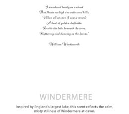 Agnes + Cat Botanical Soy Wax Candle - Windermere