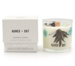 Agnes + Cat Botanical Soy Wax Candle - Seasalt & Moss
